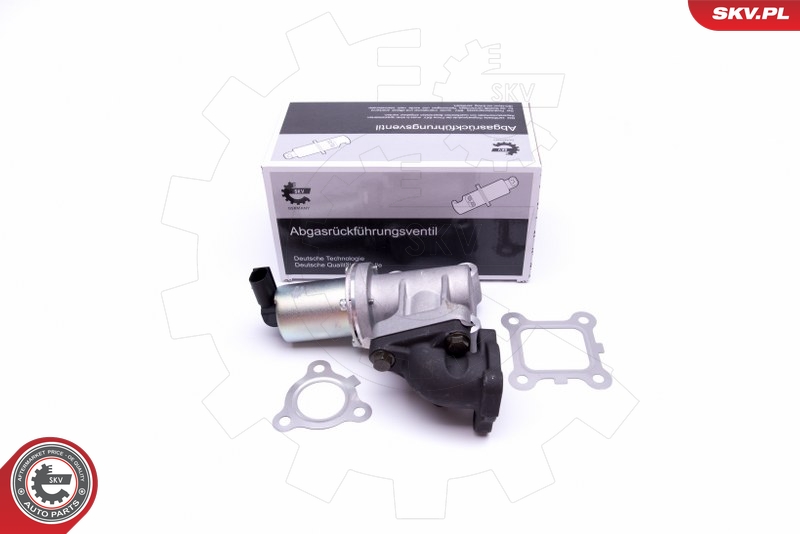 AGR - Ventil ESEN SKV