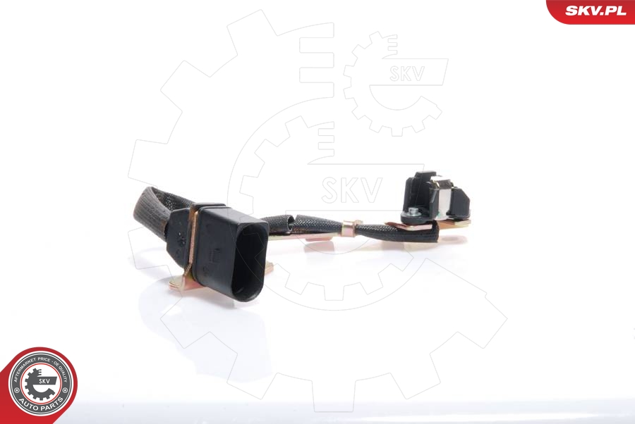 Sensor, camshaft position ESEN SKV