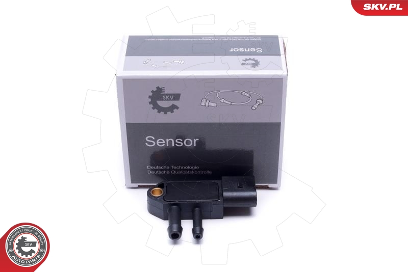 Sensor, Abgasdruck ESEN SKV
