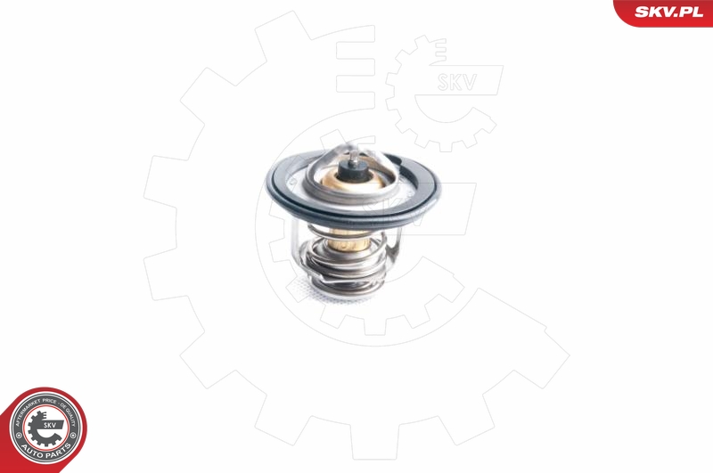 Termostat chladenia ESEN SKV