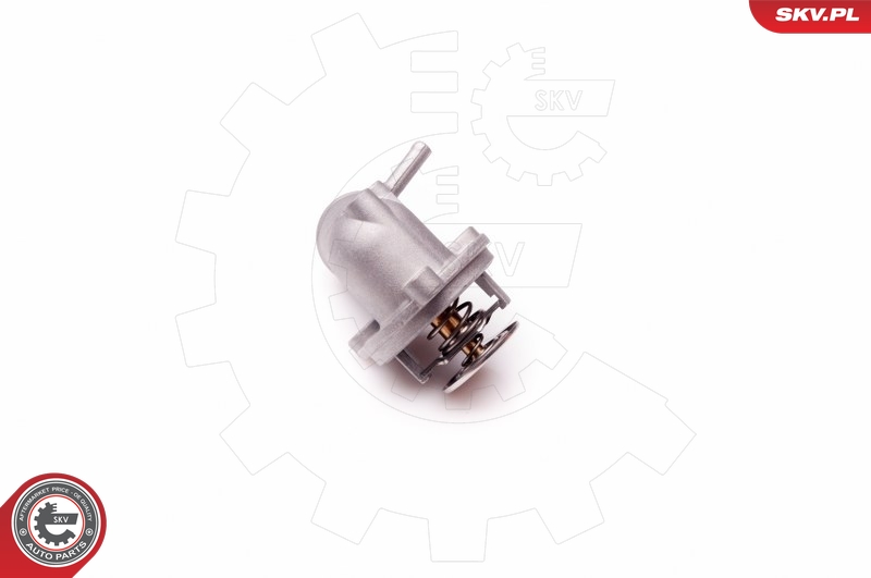 Termostat chladenia ESEN SKV