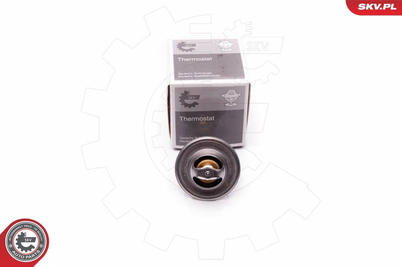 Termostat chladenia ESEN SKV