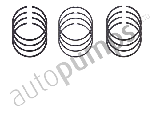 Sada piestnych krúżkov Autopumps UK Ltd