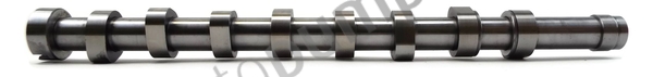 Vačkový hriadeľ Autopumps UK Ltd