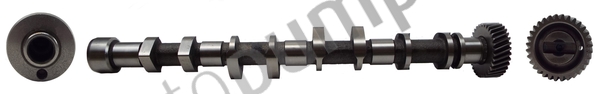 Vačkový hriadeľ Autopumps UK Ltd