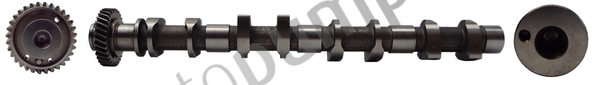 Vačkový hriadeľ Autopumps UK Ltd