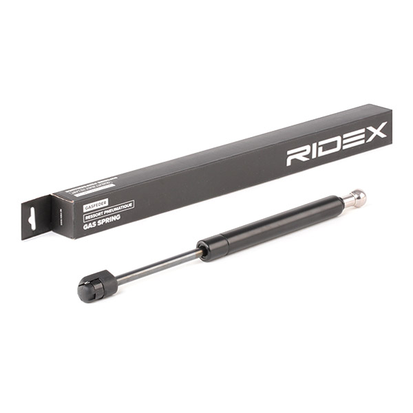 Pneumatická prużina, Batożinový/nákladný priestor RIDEX