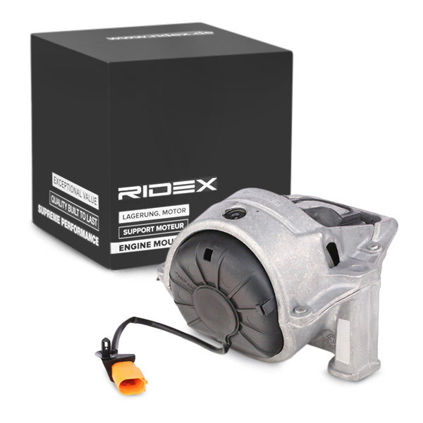 Ulożenie motora RIDEX