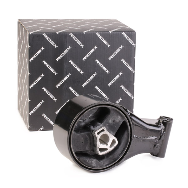 Ulożenie motora RIDEX