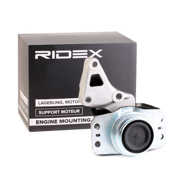 Ulożenie motora RIDEX