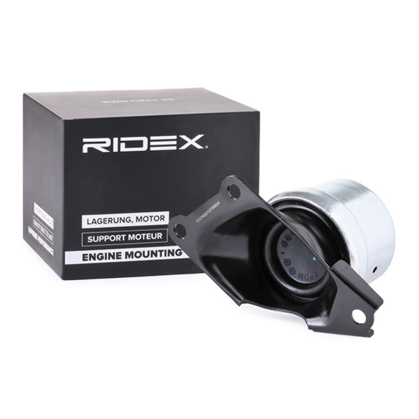 Ulożenie motora RIDEX