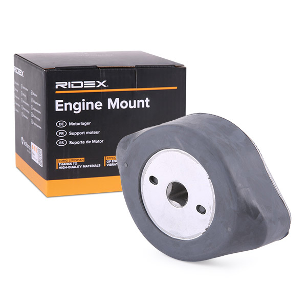 Ulożenie motora RIDEX
