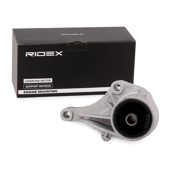Ulożenie motora RIDEX