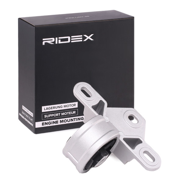 Ulożenie motora RIDEX