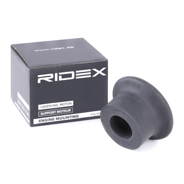 Ulożenie motora RIDEX