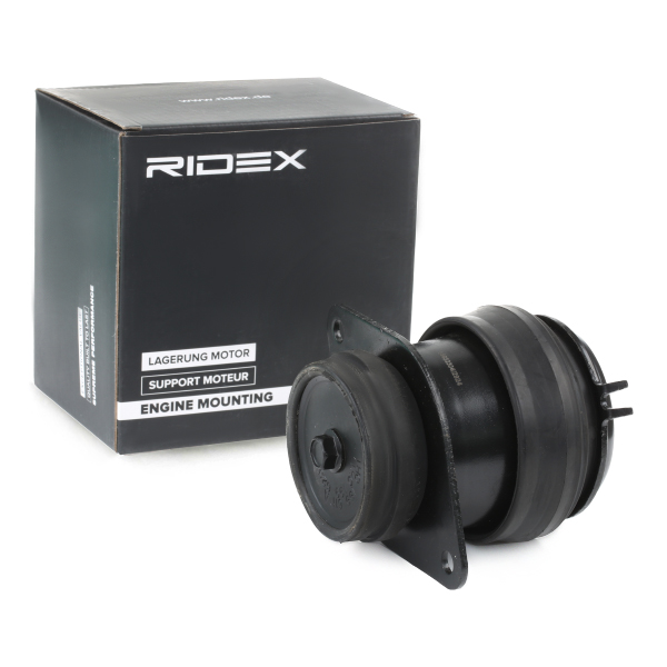 Ulożenie motora RIDEX