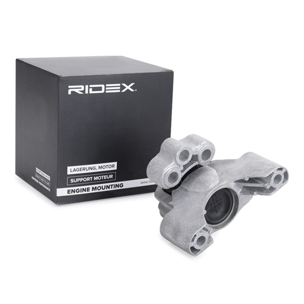 Ulożenie motora RIDEX
