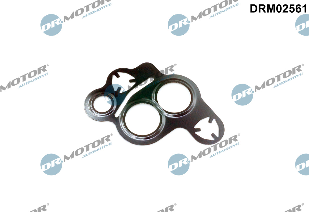 Tesnenie, AGR-Ventil Dr.Motor Automotive