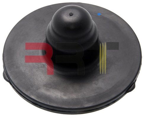 Tanier prużiny Anhui RRT Auto Parts Co., Ltd