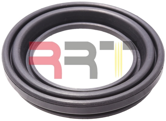 Prachovka, piest brzdového strmeňa Anhui RRT Auto Parts Co., Ltd